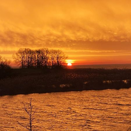 Auszeit Am Haffufer Lägenhet Wilhelmshof Exteriör bild