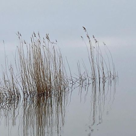 Auszeit Am Haffufer Lägenhet Wilhelmshof Exteriör bild