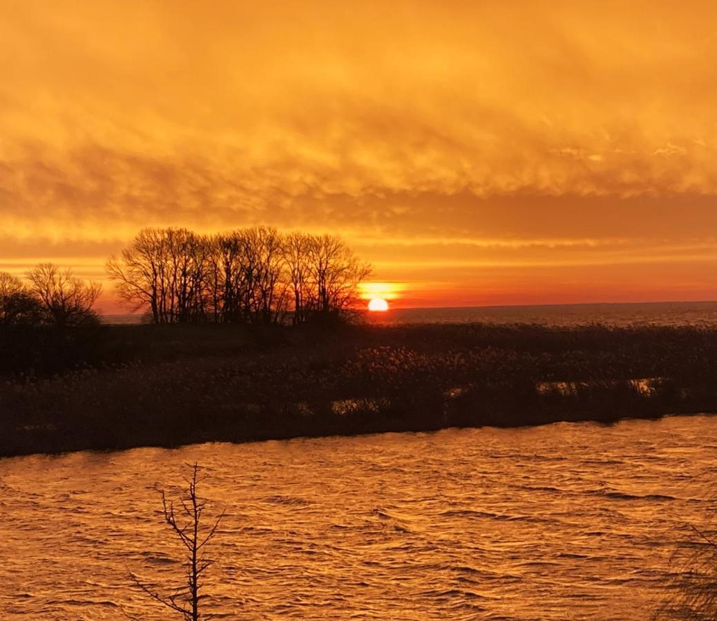 Auszeit Am Haffufer Lägenhet Wilhelmshof Exteriör bild