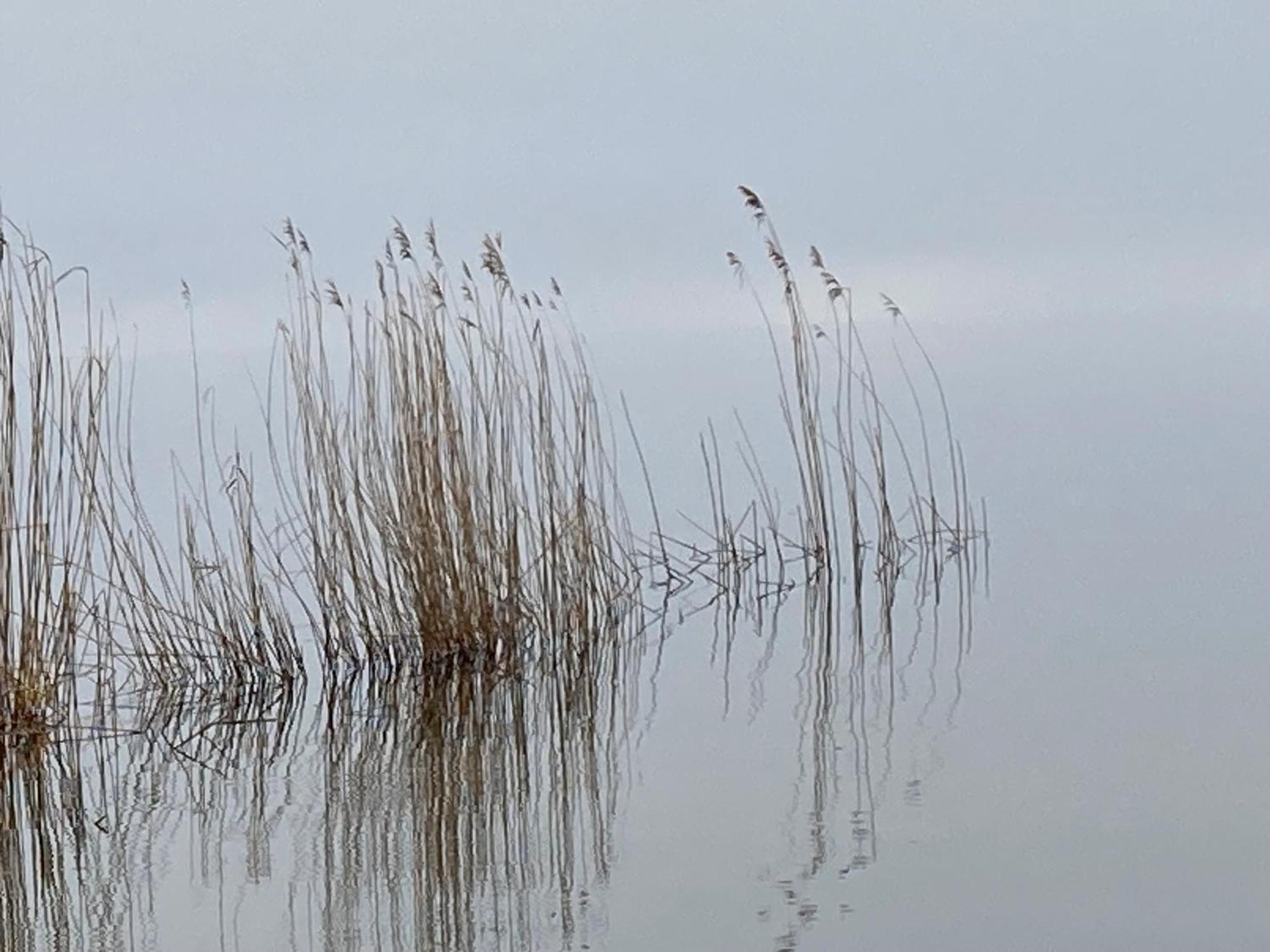 Auszeit Am Haffufer Lägenhet Wilhelmshof Exteriör bild